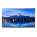 Sharp P556, 55" P-Series LFD, UHD