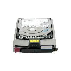 Hewlett Packard Enterprise 300GB HS DUAL PORT FC 10K HDD (364622-B22)