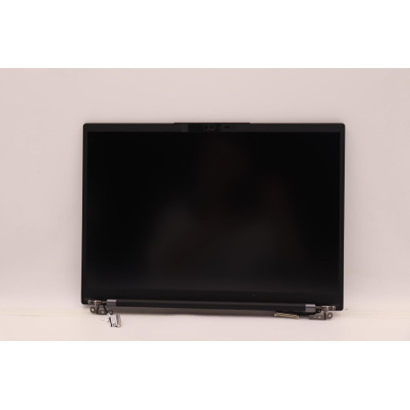 Lenovo 14-inch WUXGA hybrid display 