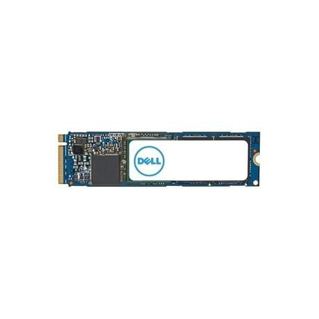 Dell Internal Solid State Drive 