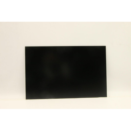 Lenovo 16-inch WQXGA LED LCD screen 