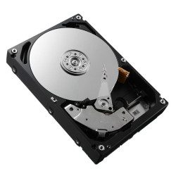 Dell HD 3T NL6 7.2K 3.5 WD-VER E/C (DPTW9)