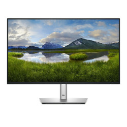 Dell 24 inch - Full HD IPS LED 