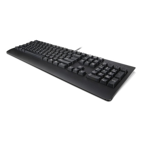 Lenovo Keyboard Home/Office Usb 