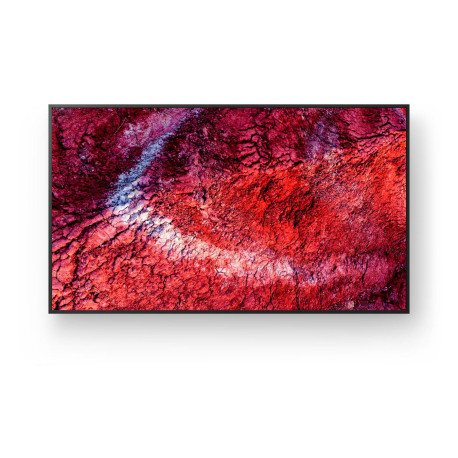 Sony 65 FW-65BZ40P Pro BRAVIA 