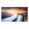 Samsung Moniteur VH55C-R 55 Full HD 