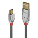 Lindy 1m USB 2.0 Type A to Mini-B Cable Cromo Line (36631)