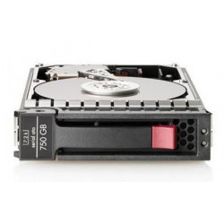 Hewlett Packard Enterprise HDD 750GB 7.2K HP MDL SATA (458930-B21)