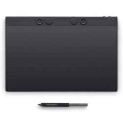 Wacom Intuos Pro L 