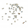 CoreParts Apple iPhone 6S Whole Screw (MSPP73437)