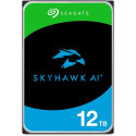 Seagate Skyhawk Ai 20 Tb 3.5 12 Tb 