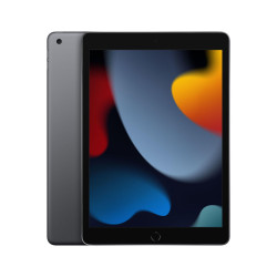 Apple iPad 64 GB 25.9 cm (10.2) (MK2K3KN/A)