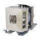 CoreParts Projector Lamp for VIVITEK (ML12900)