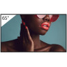 Sony 65" Pro BRAVIA LCD 700nit Haze (FW-65BZ40L)