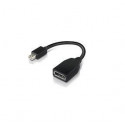 Lenovo 4X90L13971 câble DisplayPort Mini DisplayPort Noir (4X90L13971)