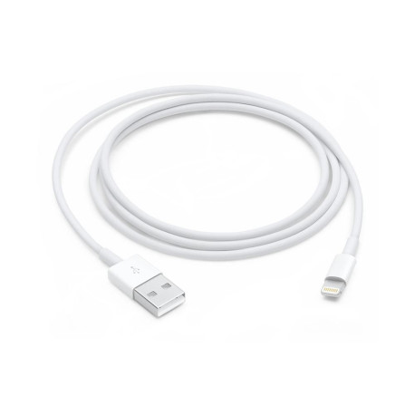 Apple Lightning to USB Cable (MXLY2ZM/A)