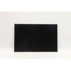 Lenovo DISPLAY AUO 14.0 WUXGA AG LCLW 