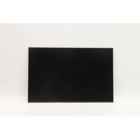Lenovo DISPLAY AUO 14.0 WUXGA AG LCLW 