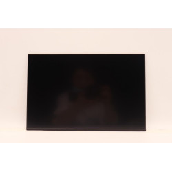 Lenovo DISPLAY INX 14.0 WUXGA AG LCLW 