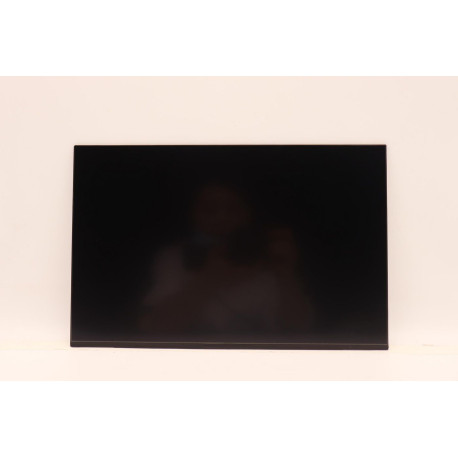 Lenovo DISPLAY INX 14.0 WUXGA AG LCLW 