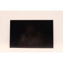 Lenovo DISPLAY INX 14.0 WUXGA AG LCLW 