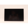 Lenovo DISPLAY INX 14.0 WUXGA AG LCLW 