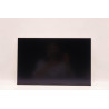 Lenovo DISPLAY AUO 16.0 WUXGA IPS AG 