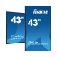 iiyama 43 3840x2160, UHD IPS panel 