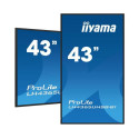 iiyama 43 3840x2160, UHD IPS panel 