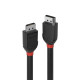 Lindy DisplayPort Cable 1.2. M/M. Black. Line. 2.. (36492)