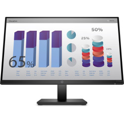 HP ProDisplay P24q G4 23.8in QHD (8MB10AA)