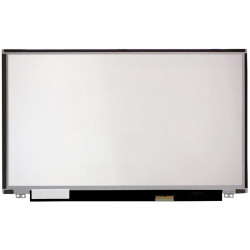 CoreParts 15,6 LCD FHD Matte (MSC156F40-095M)