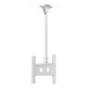SMS Func Ceiling LP Medium Single 
