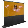 ORAY Ecran portable ORAY Butterfly (BUT02B1112200)