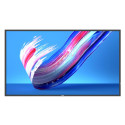 Philips 50 Direct LED 4K Display, 