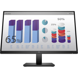 HP HP P24q G4 computer monitor (8MB10AT)