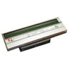 Zebra Printhead ZT200, 203dpi (P1037974-010)
