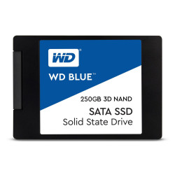 Western Digital 3D NAND SSD (WDS250G2B0A)