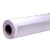 EPSON S041746 SINGLEWEIGHT MATTE PAPIER INKJET 120G/M2 432MM X 40M (C13S041746)