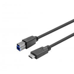 Vivolink USB-C male - B male Cable (W126793354)