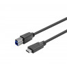 Vivolink Câble USB-C mâle - B mâle 20m Noir