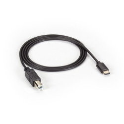 Black Box USB 2.0 USB TYPE C TO USB 