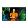Samsung QM43C Moniteur 3840x2160 (16:9) 500cd/m2 24h/7j (LH43QMCEPGCXEN)