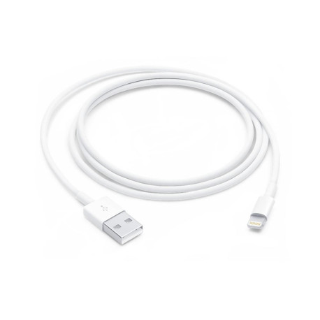 Apple Lightning Cable 1 M White 