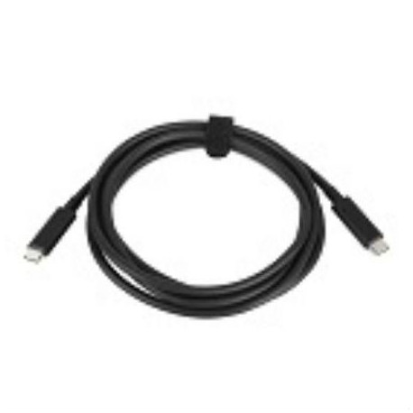 Lenovo USB-C to USB-C Cable 2m (4X90Q59480)