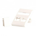 Lanview Plaque murale pour 2 x keystone