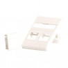 Lanview Plaque murale pour 2 x keystone