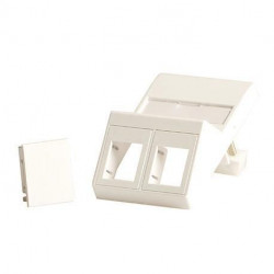 Lanview Plaque murale, inclinée, pour 2 x keystones