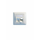 Lanview Plaque murale, inclinée, double sortie EURO blanche