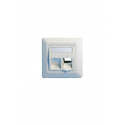 Lanview Wall plate, angled, 2 x (W125941355)
